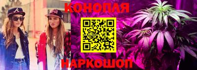 ешки Ярославль