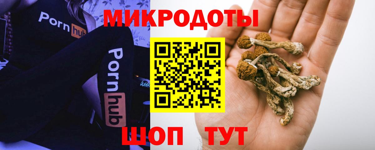 Псилоцибиновые грибы Psilocybine cubensis Ирбит