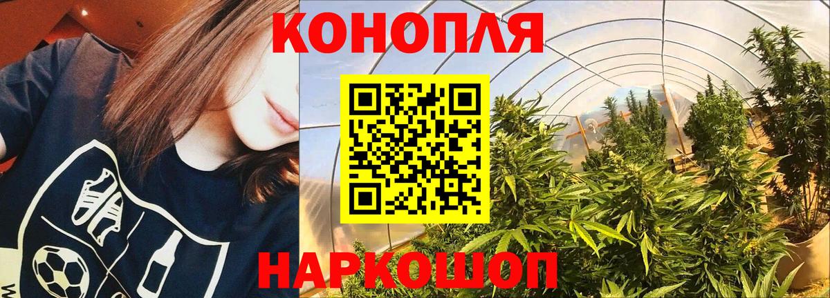 Канабис OG Kush Ирбит